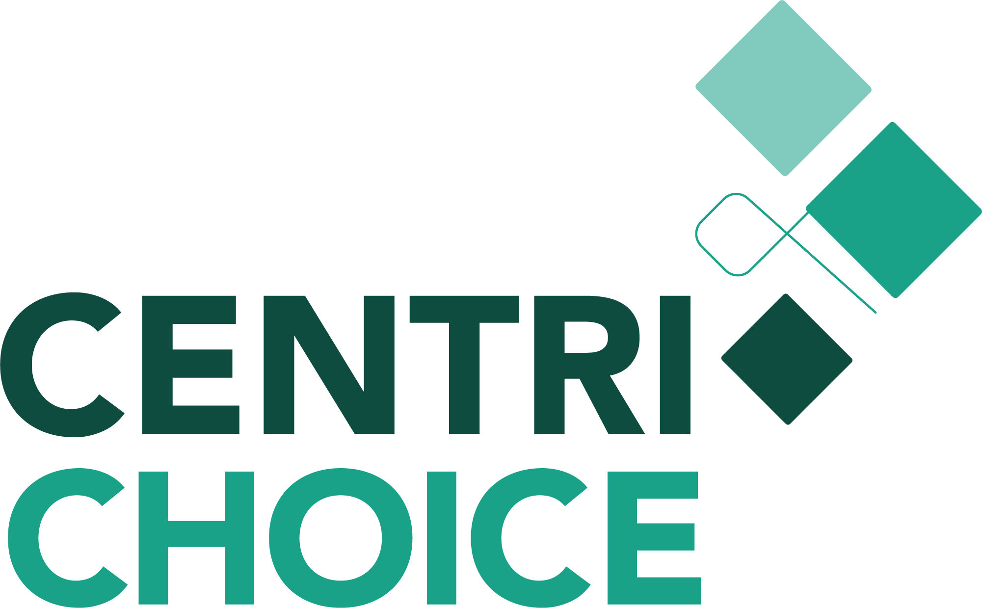 CENTRICHOICE-CONTABILIDADE COM MISSÃO. DECISÕES COM CRITÉRIO
